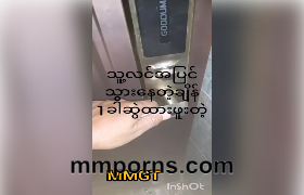 အရင်တစ်ခေါက်လိုးဖူးတဲ့စော်ကြီးက သူလင်မရှိတုန်း
